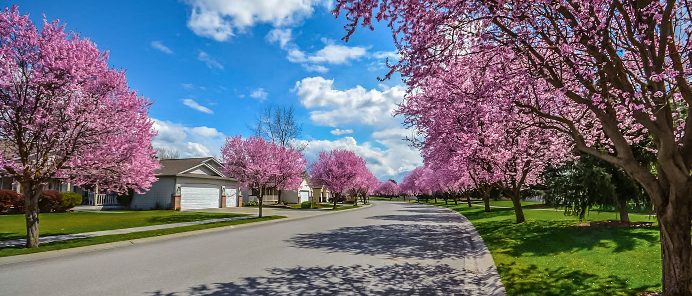 Discover Affordable Homes and Land